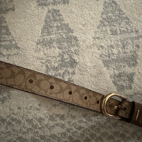 Coach belt - Picture 3 of 3